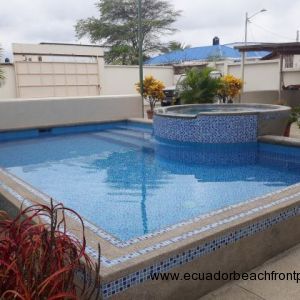 A good sized pool with jacuzzi set amongst some plants beside the gardens of the patio. 