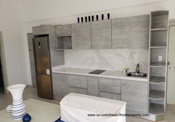 Master suite kitchen with stovetop and full-sized fridge