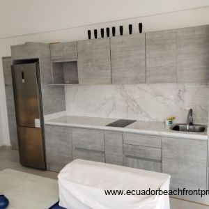 Master suite kitchen with stovetop and full-sized fridge