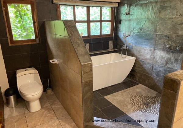 walk-in shower and soaking tub