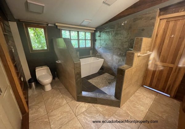 walk-in shower and soaking tub