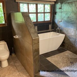 walk-in shower and soaking tub