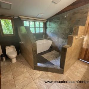 walk-in shower and soaking tub