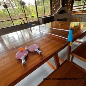 indoor screened patio with dining/ ping pong table and pizza oven