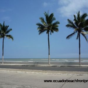 Beachfront boardwalk