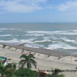 Expansive, warm ocean just beyond the property walls!