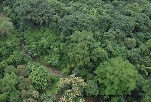 aerial view of the stream