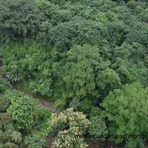 aerial view of the stream