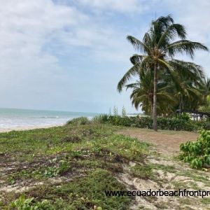 Direct beachfront land