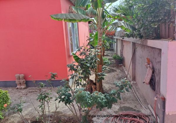 Guest suite exterior with papaya tree