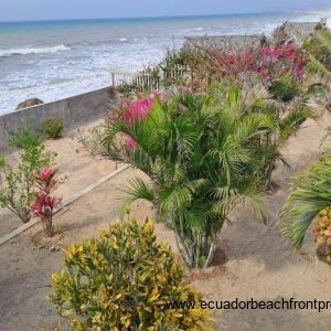 Garden and ocean views