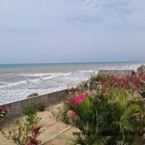 Garden and ocean views