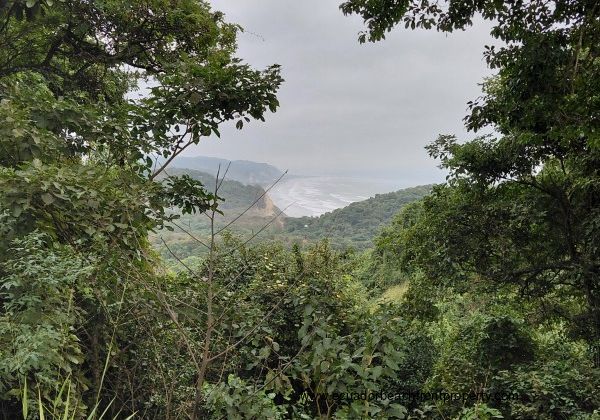 Spectacular coastline with primary tropical forests
