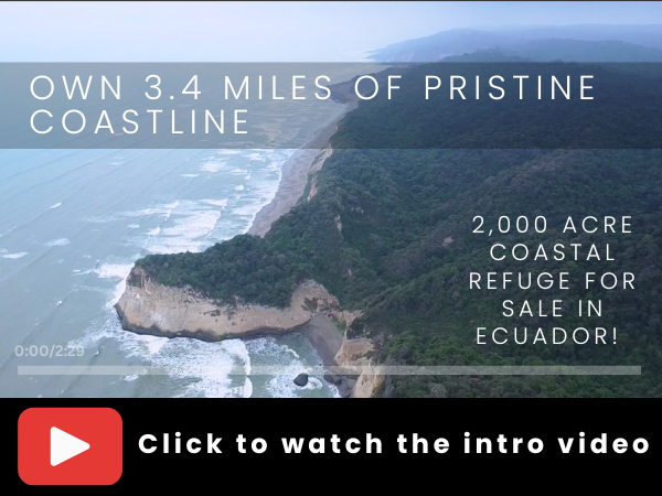 Watch the Introductory Video