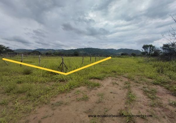fenced lot